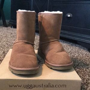 Chestnut short ugg boots
